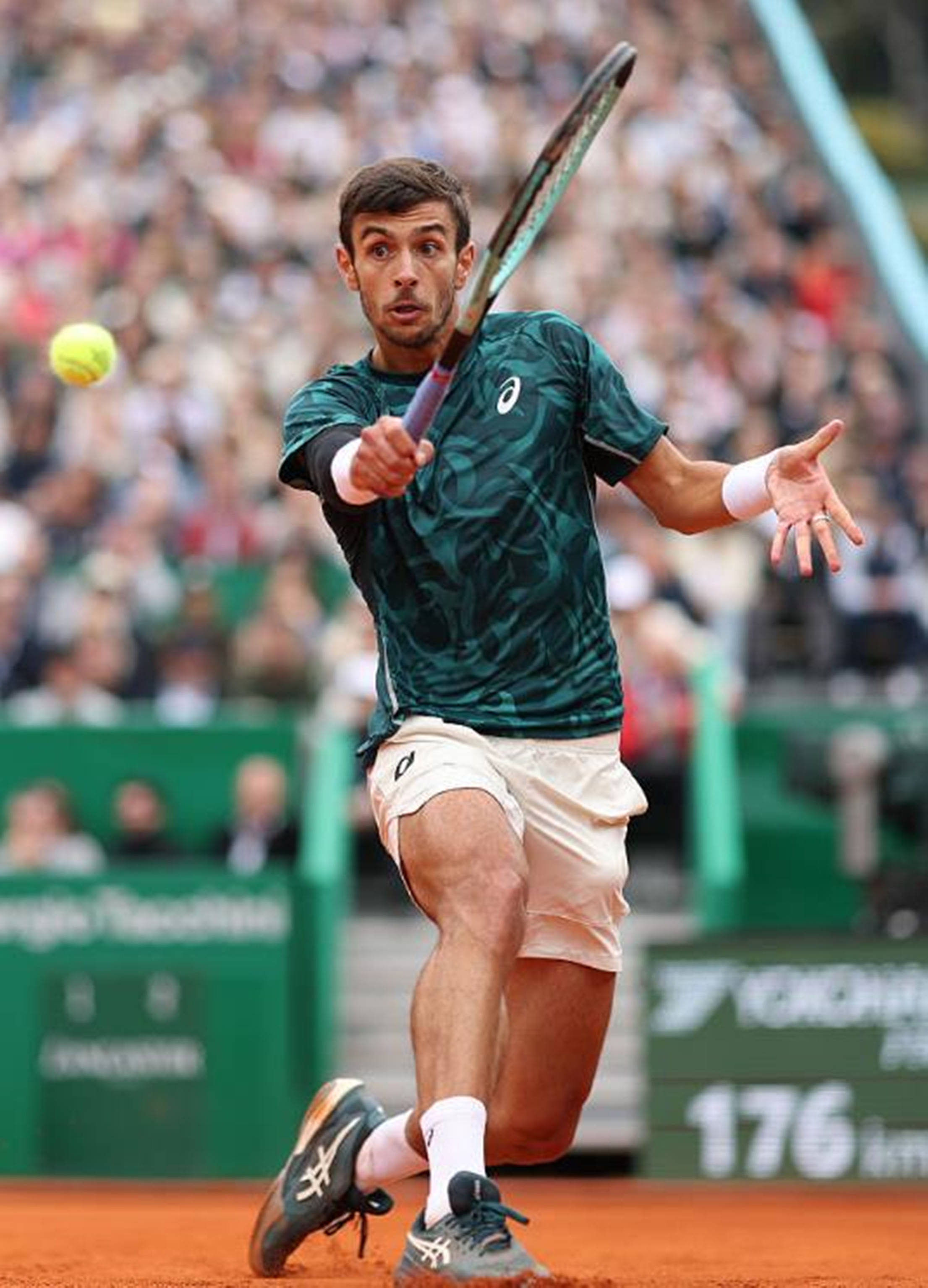 全保障能力 全保障能力