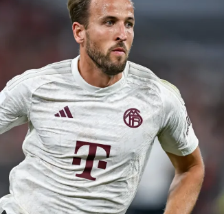 给出清晰 给出清晰