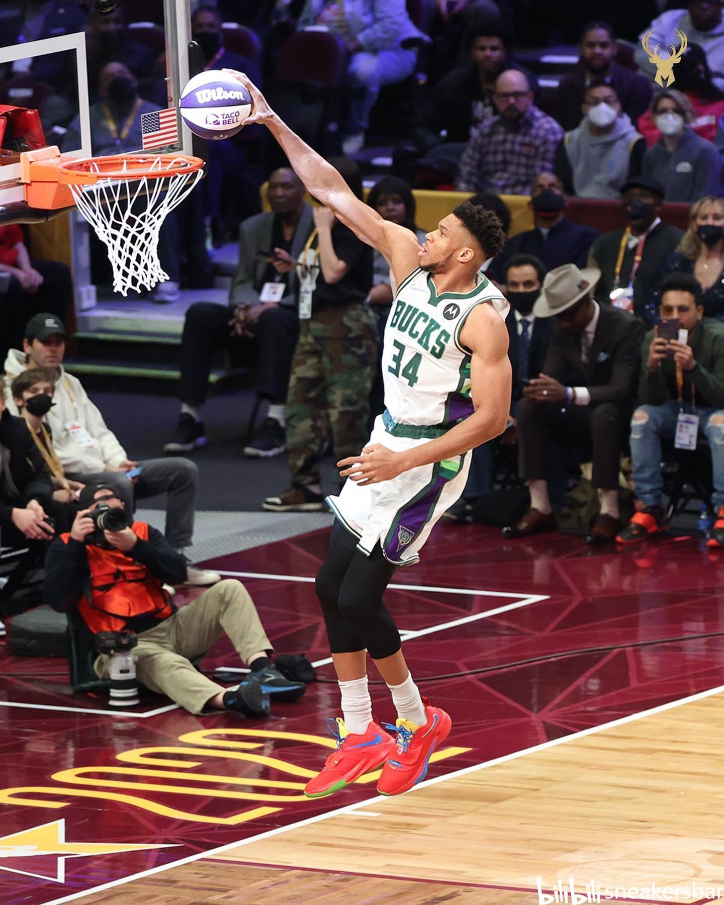 它们像双引 它们像双引